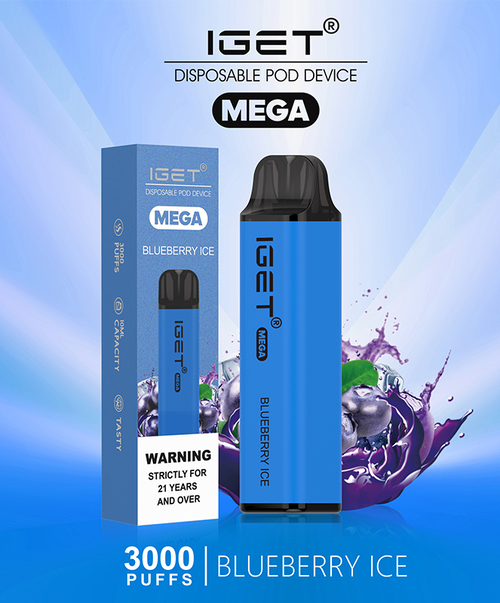 IGET Mega 3000 Puffs Blueberry Ice