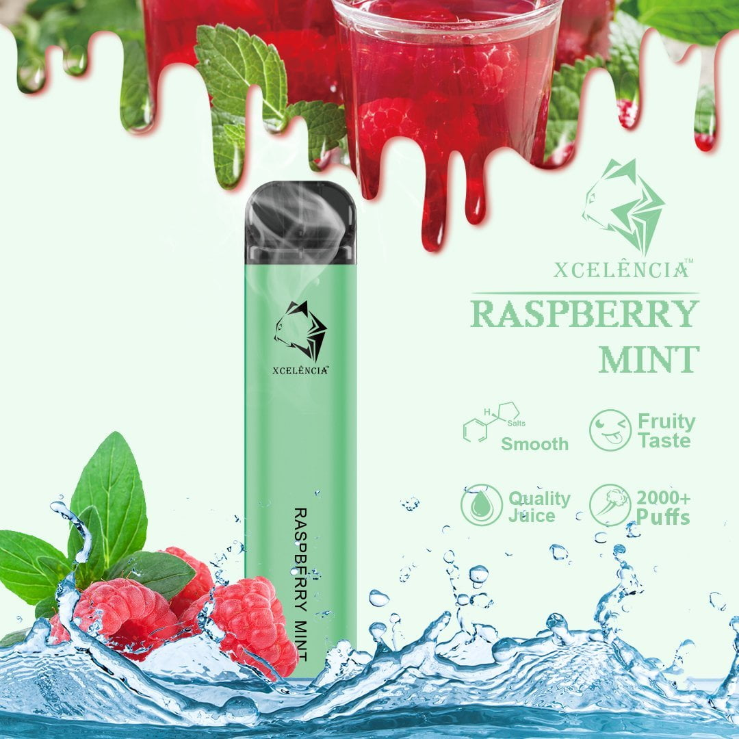 Gunnpod Classic 2000 Puffs Raspberry Mint