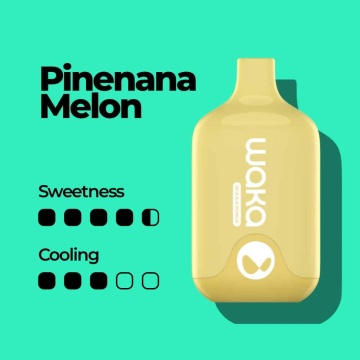 Waka Smash 6000 Pinenana Melon