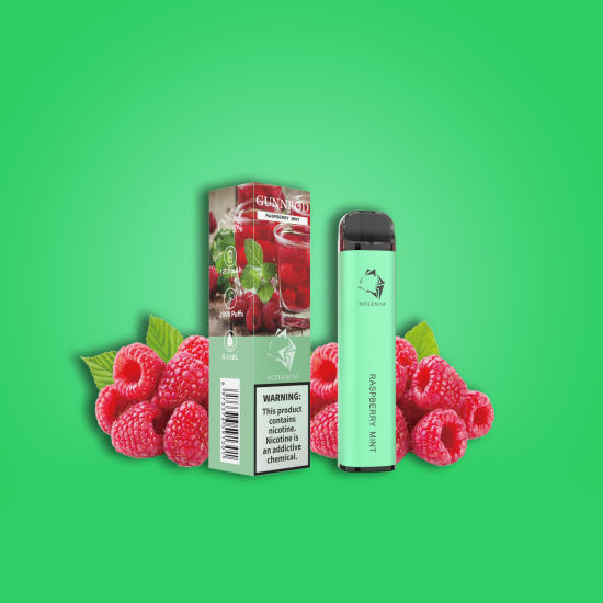 Gunnpod Classic 2000 Puffs Raspberry Mint