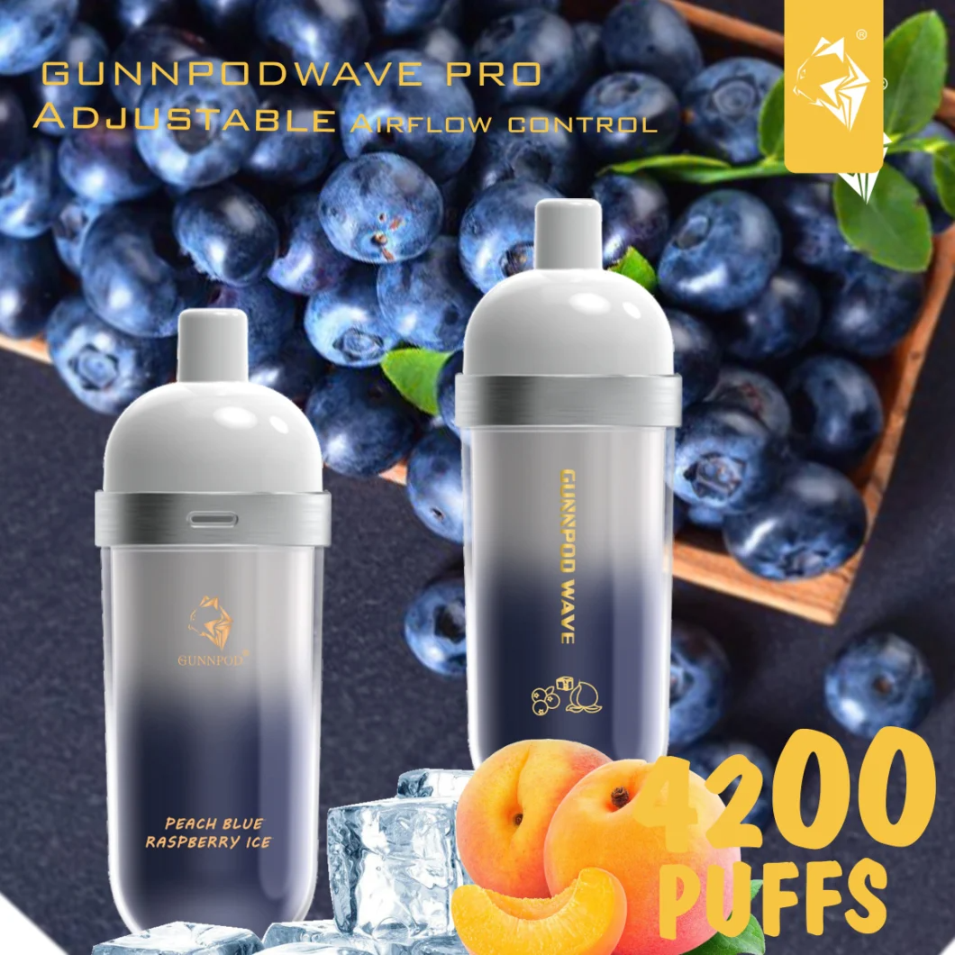 Gunnpod Wave Pro 4200 Peach Blue Raspberry Ice