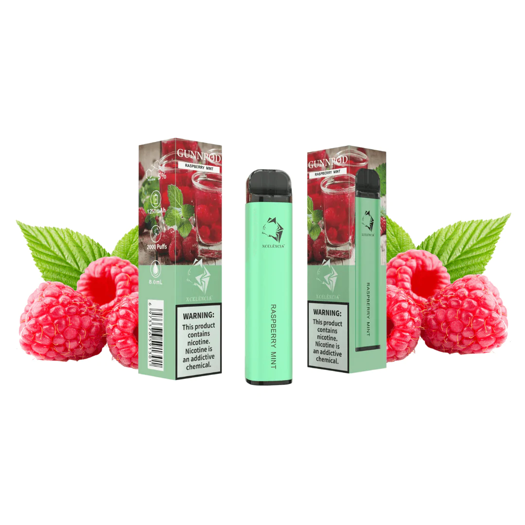 Gunnpod Classic 2000 Puffs Raspberry Mint