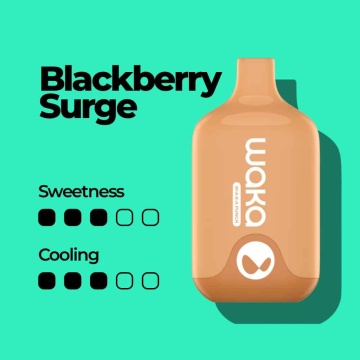 Waka Smash 6000 Blackberry Surge