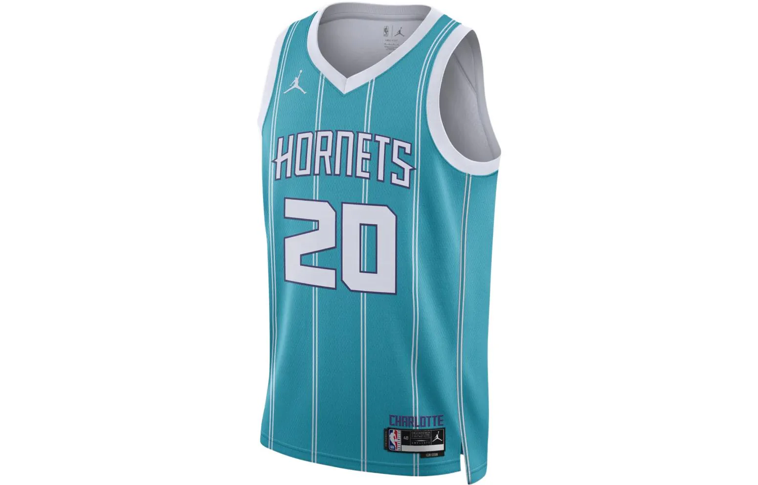 Nike Dri-FIT NBA Gordon Hayward Icon Edition 2022/23 Swingman Jersey 'Charlotte Hornets' DN1998-416 - PersonalJerseys