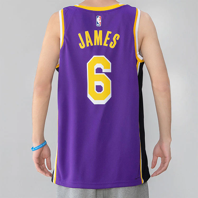 Men's Nike NBA Quick Dry Sports Basketball SW Fan Edition Version Los Angeles Lakers Lebron James No. 6 Purple Jersey CV9481-513 - PersonalJerseys