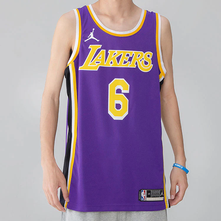 Men's Nike NBA Quick Dry Sports Basketball SW Fan Edition Version Los Angeles Lakers Lebron James No. 6 Purple Jersey CV9481-513 - PersonalJerseys