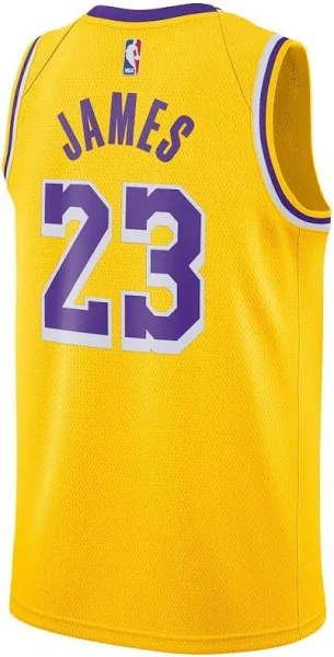 Nike x NBA Los Angeles Lakers Icon Edition 22-23 Jerseys 'LeBron James' DN2009-733 - PersonalJerseys