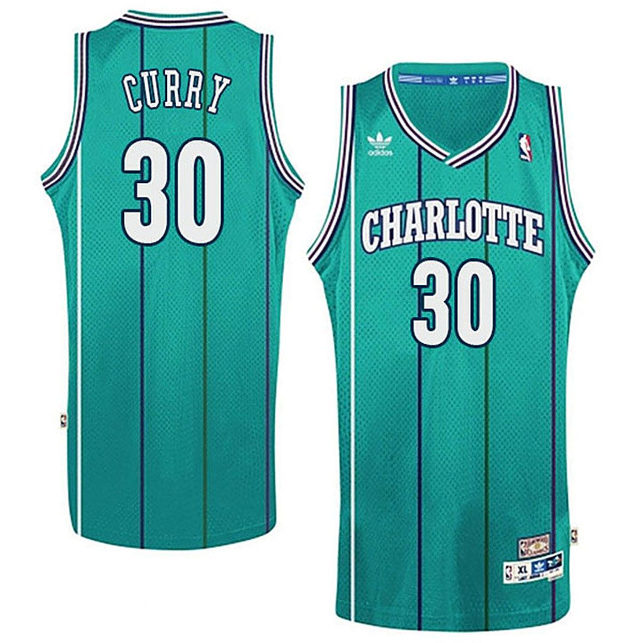 Male Charlotte Hornets Stephen Curry's Dad #30 Dell Curry Hardwood Classics Jersey - Friend Lounge Store - Shop for All Things Jerseys Sports - PersonalJerseys