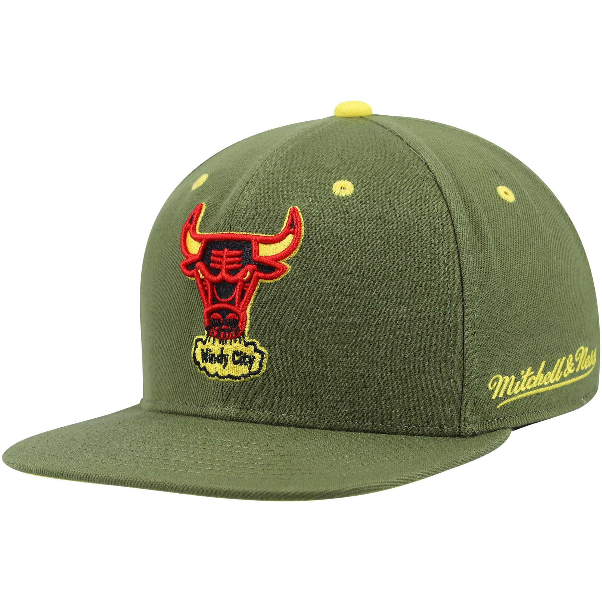 Chicago Bulls Mitchell &Ness x Lids 30th Anniversary Hardwood Classics Dusty Fitted Hat - Olive - PersonalJerseys