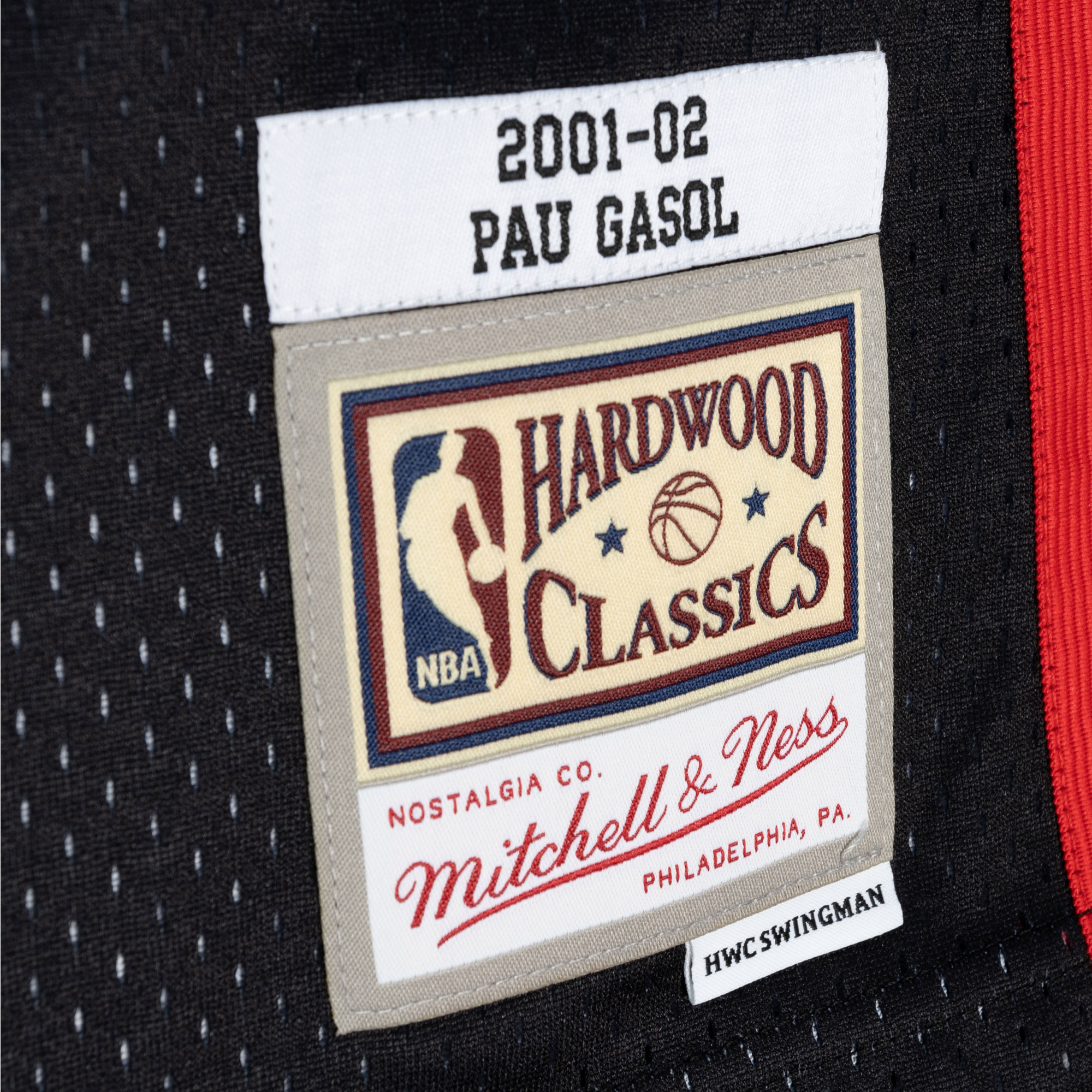 Pau Gasol Memphis Grizzlies Mitchell & Ness Hardwood Classics 2001/02 Split Swingman Jersey - Black/Turquoise - PersonalJerseys
