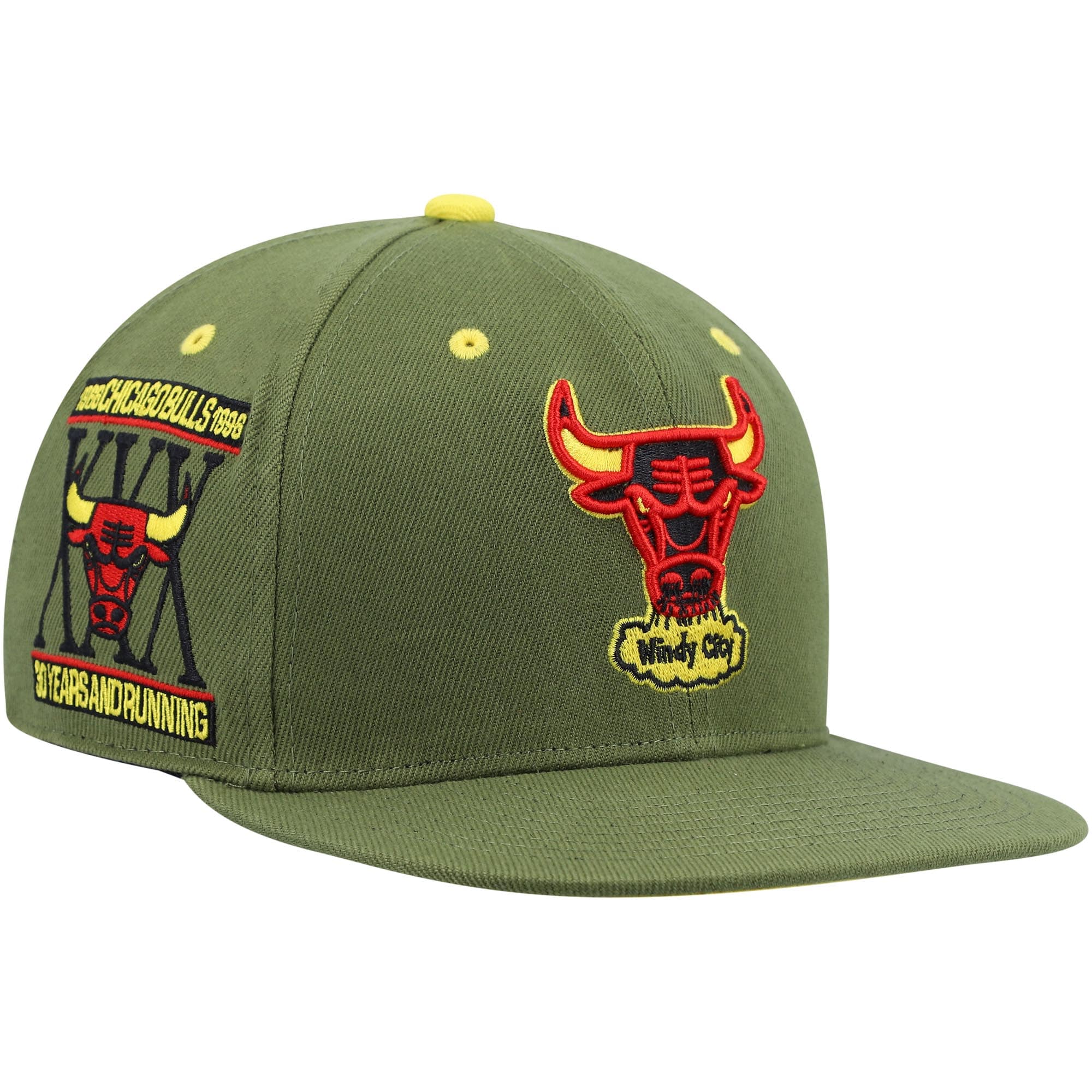 Chicago Bulls Mitchell &Ness x Lids 30th Anniversary Hardwood Classics Dusty Fitted Hat - Olive - PersonalJerseys
