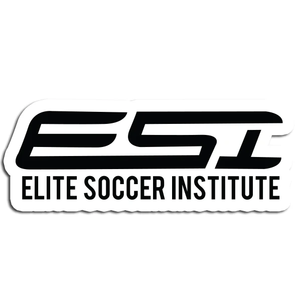 ESI Decal (3 inch x 8 inch) - PersonalJerseys