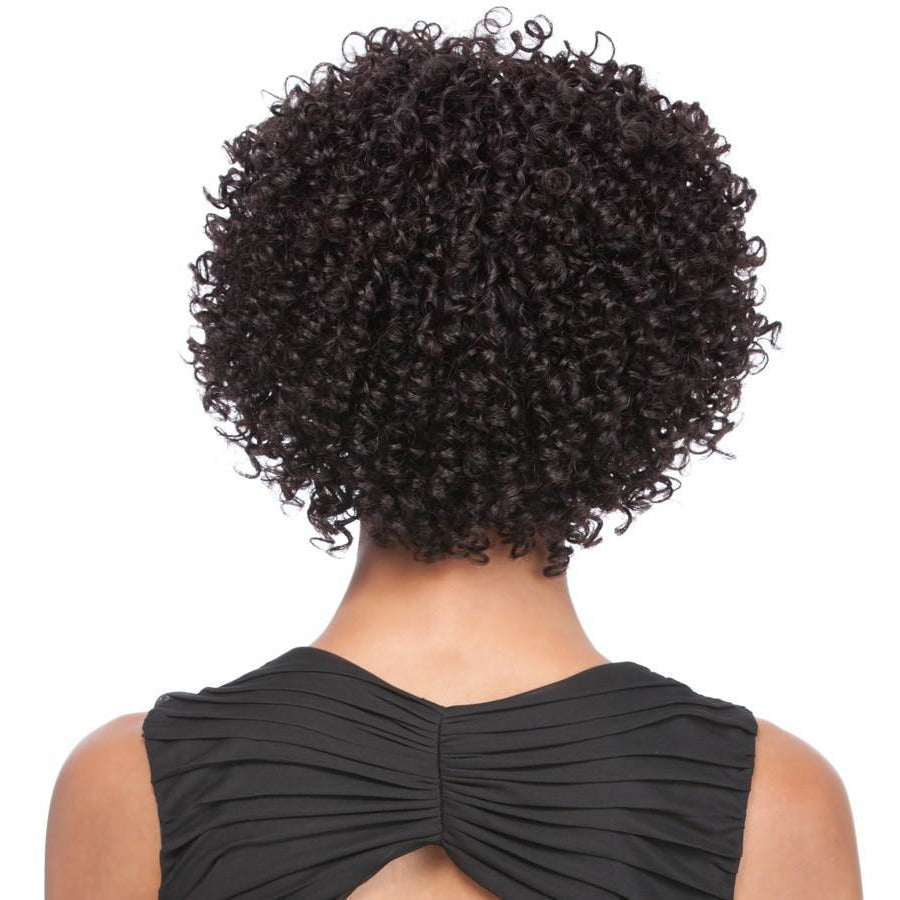 It's A Wig! Human Hair Wig – HH Leisha