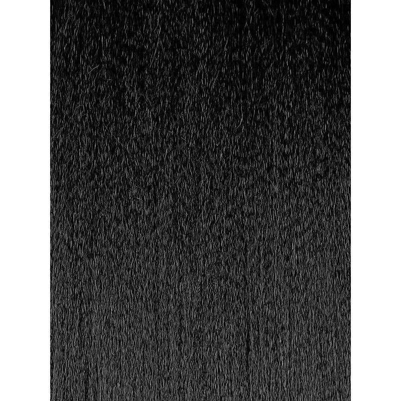 FreeTress Synthetic Braids – 2x Braid 101 28