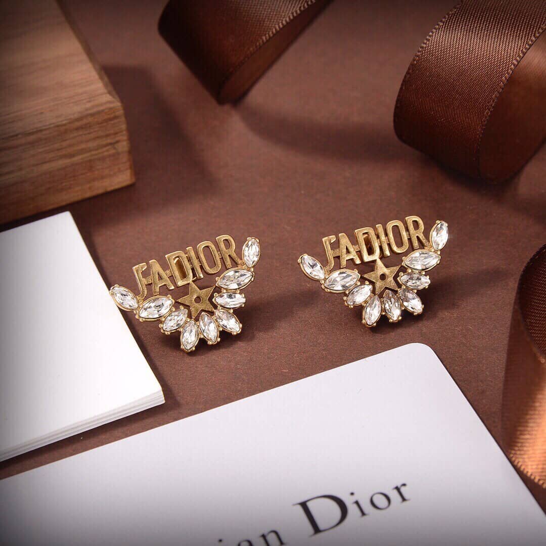 Best Replica Wholesale Christian Dior Logo Earring - Colareps