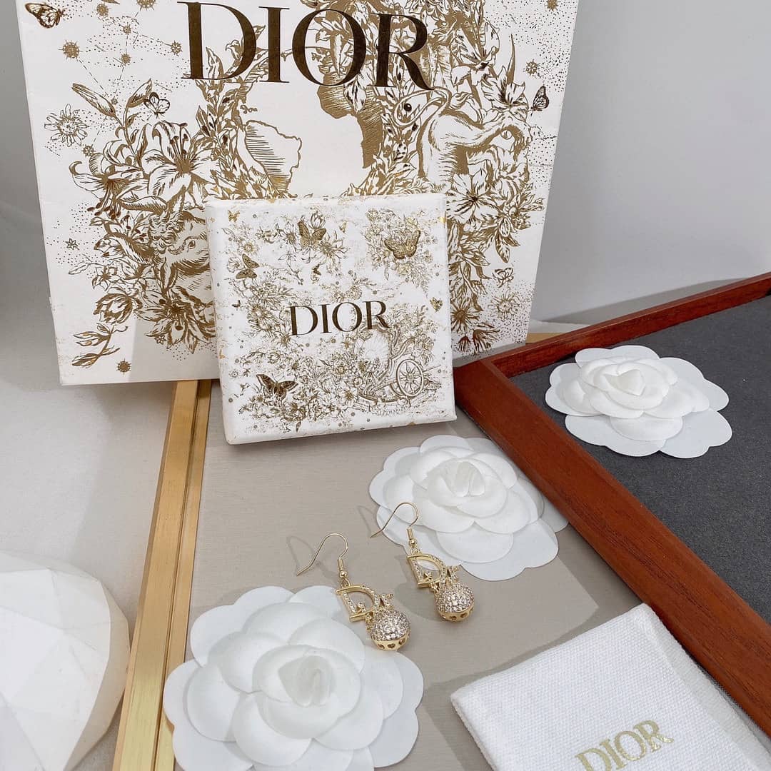 Best Replica Wholesale Christian Dior Logo Earring - Colareps