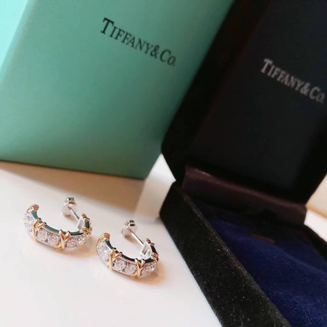 Best Replica Knockoff Tiffany Logo Earring - Colareps
