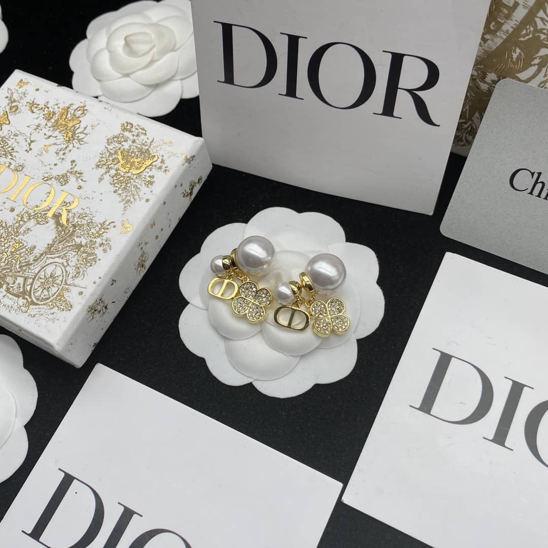 Best Replica Knockoff Christian Dior Logo Earring - Colareps
