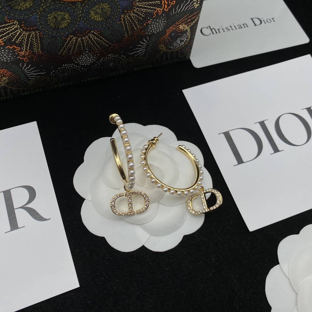 Best Replica Fake Christian Dior Logo Earring - Colareps