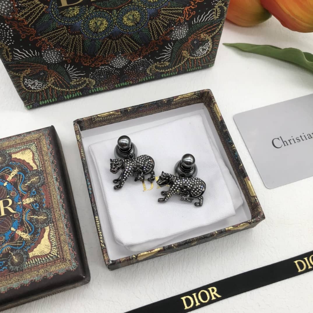 Best Replica Cheap Christian Dior Earring - Colareps
