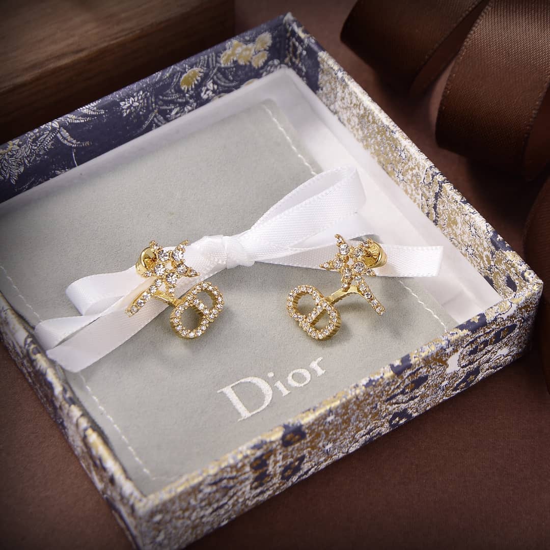 Best Replica Knockoff Christian Dior Logo Earring - Colareps