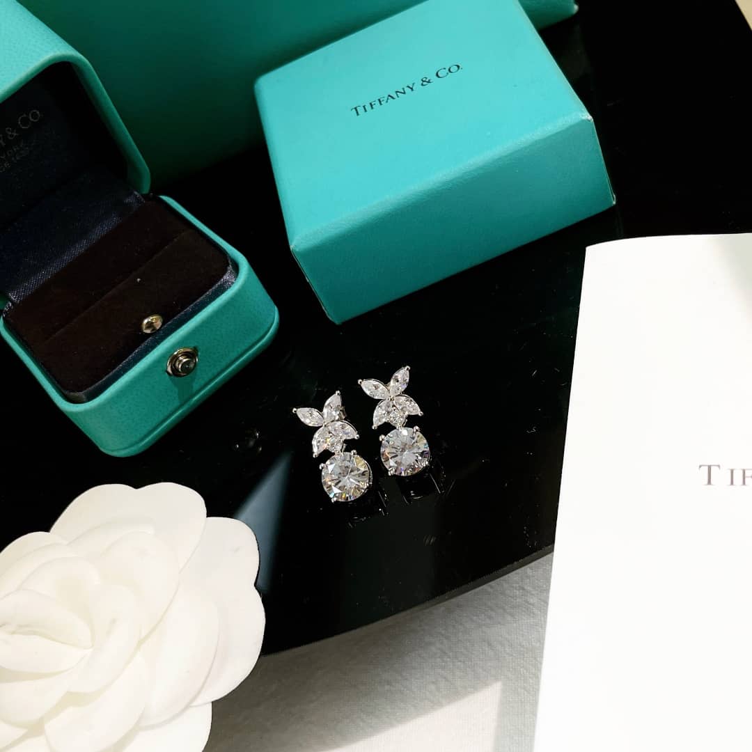 Best Replica Knockoff Tiffany Logo Earring - Colareps