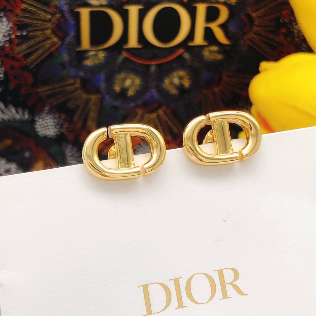 Best Replica Knockoff Christian Dior Logo Earring - Colareps