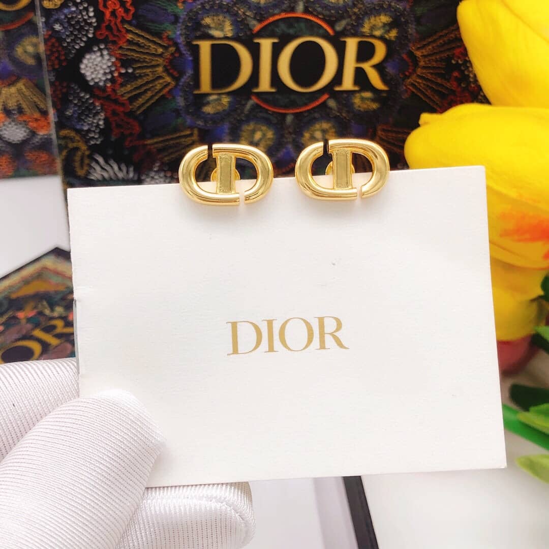 Best Replica Knockoff Christian Dior Logo Earring - Colareps