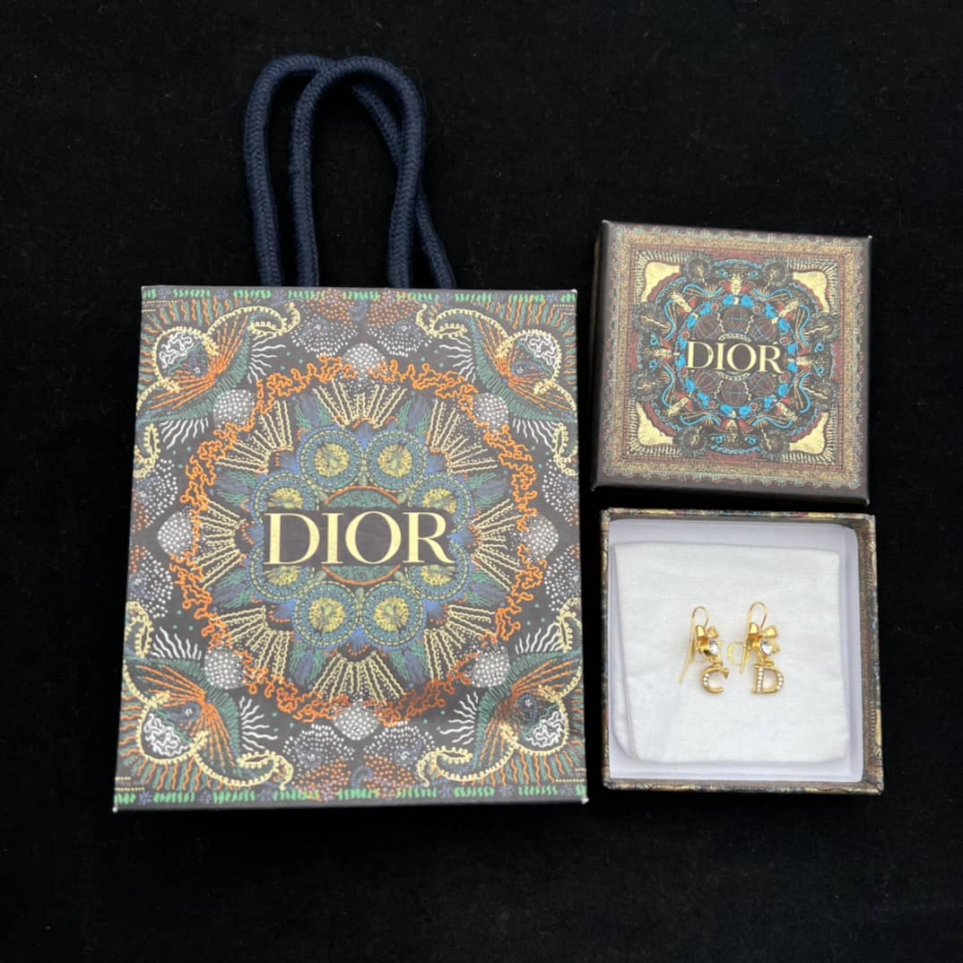 Best Replica Knockoff Christian Dior Logo Earring - Colareps