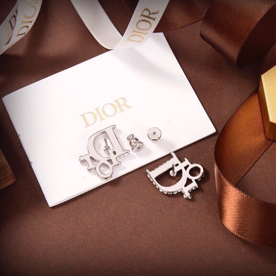 Best Replica Knockoff Christian Dior Logo Earring - Colareps