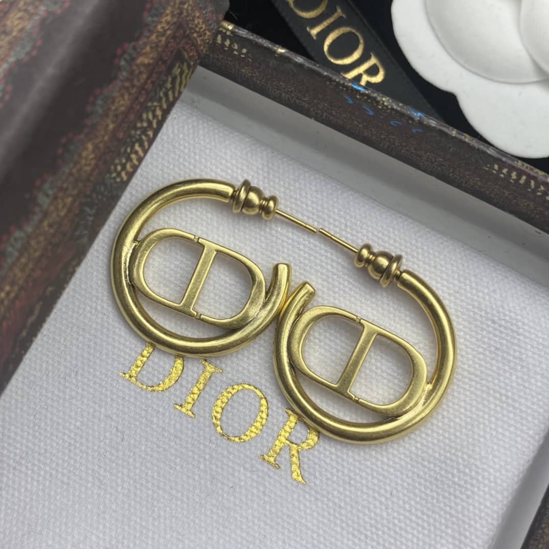 Best Replica Wholesale Christian Dior Logo Earring - Colareps