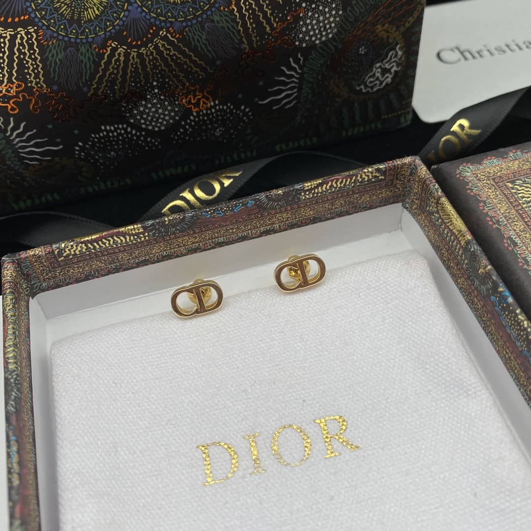 Best Replica High Quality Christian Dior Earring - Colareps