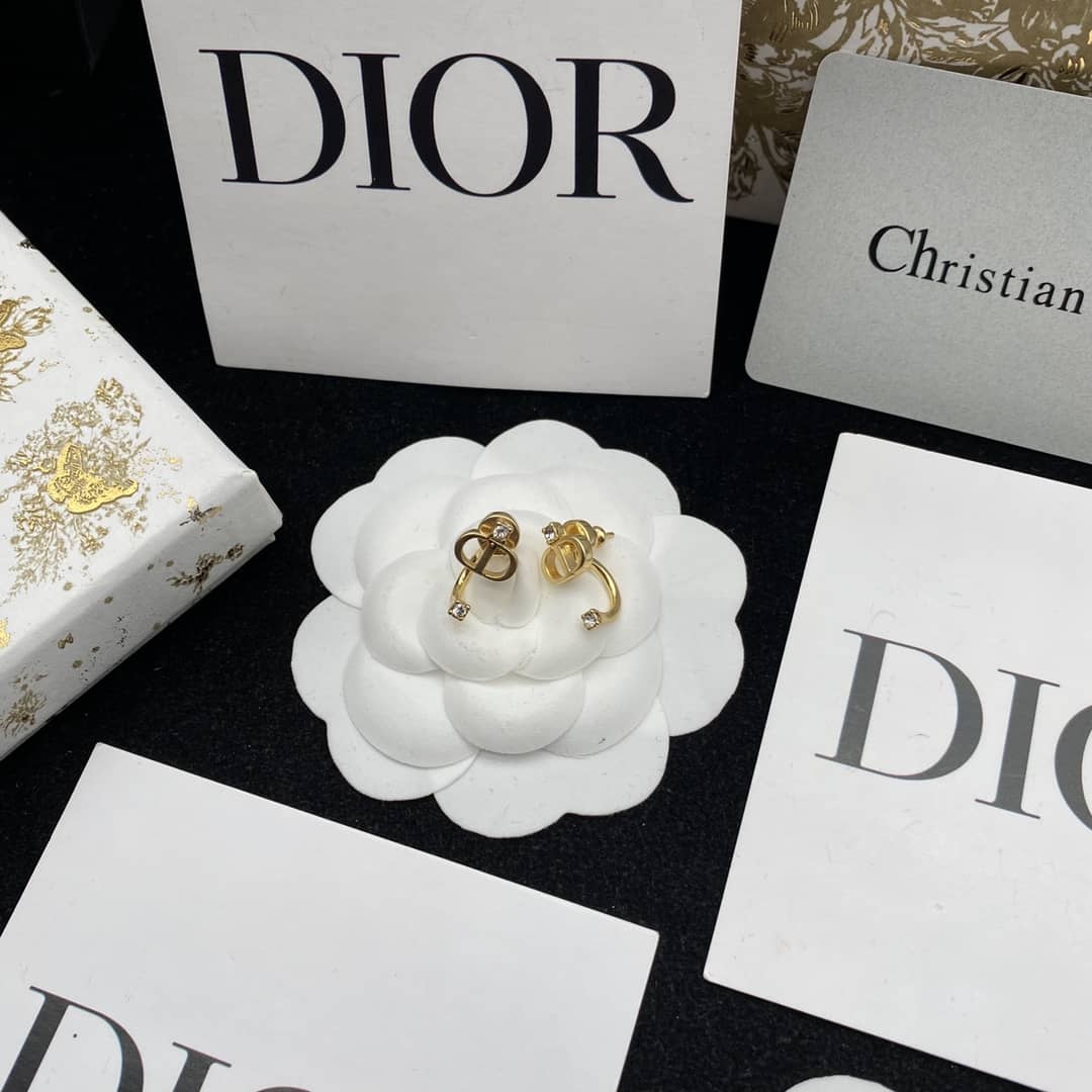 Best Replica High Quality Christian Dior Earring - Colareps