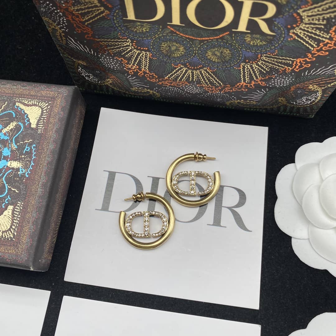 Best Replica Knockoff Christian Dior Logo Earring - Colareps