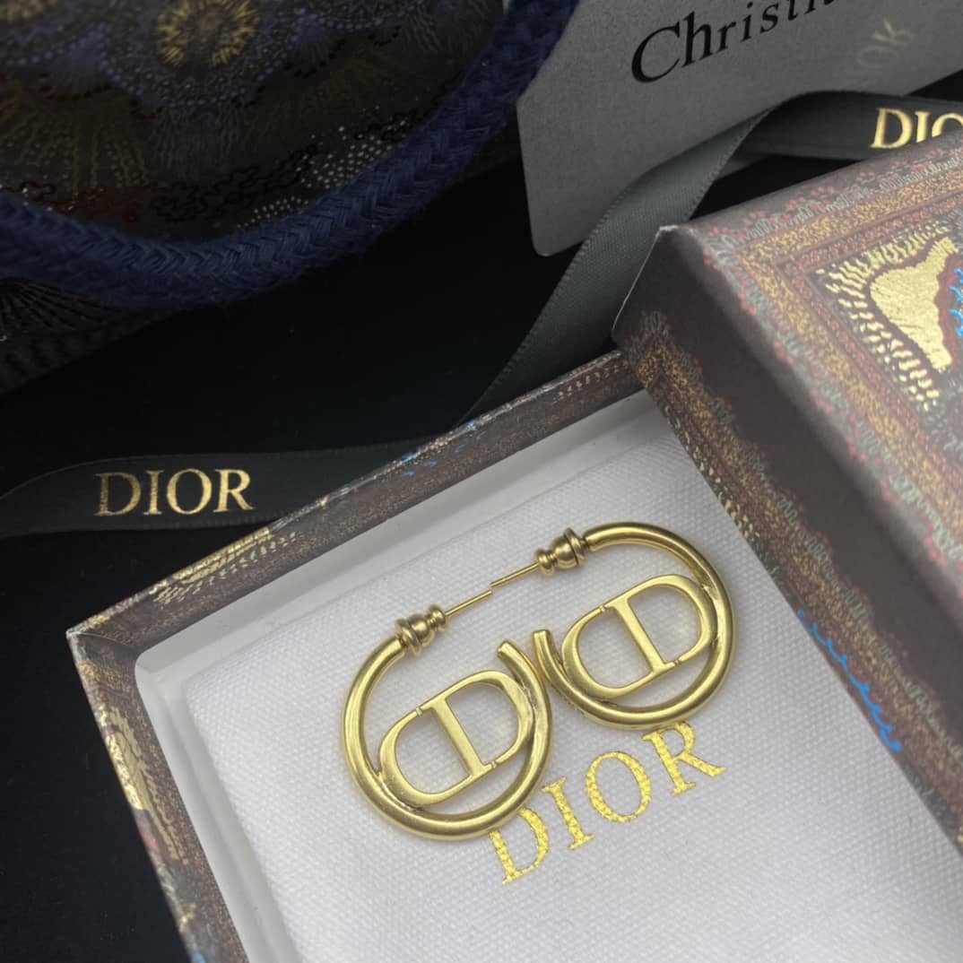 Best Replica Wholesale Christian Dior Logo Earring - Colareps