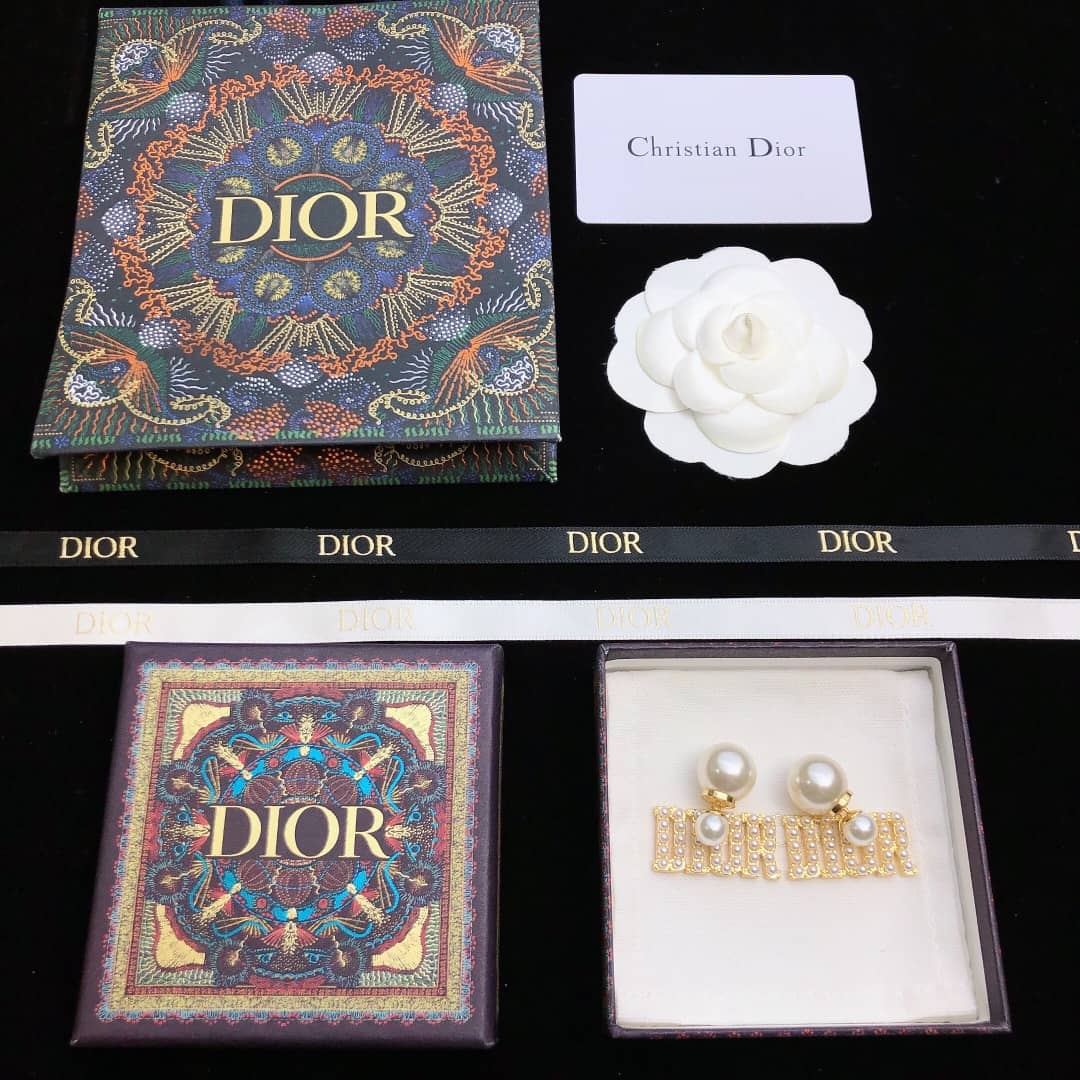 Best Replica Knockoff Christian Dior Logo Earring - Colareps
