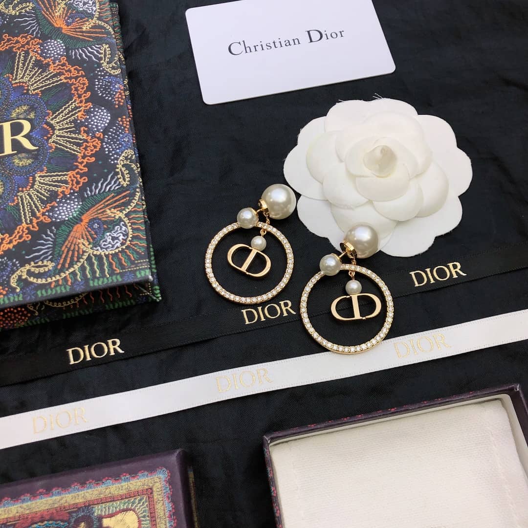 Best Replica Fake Christian Dior Logo Earring - Colareps