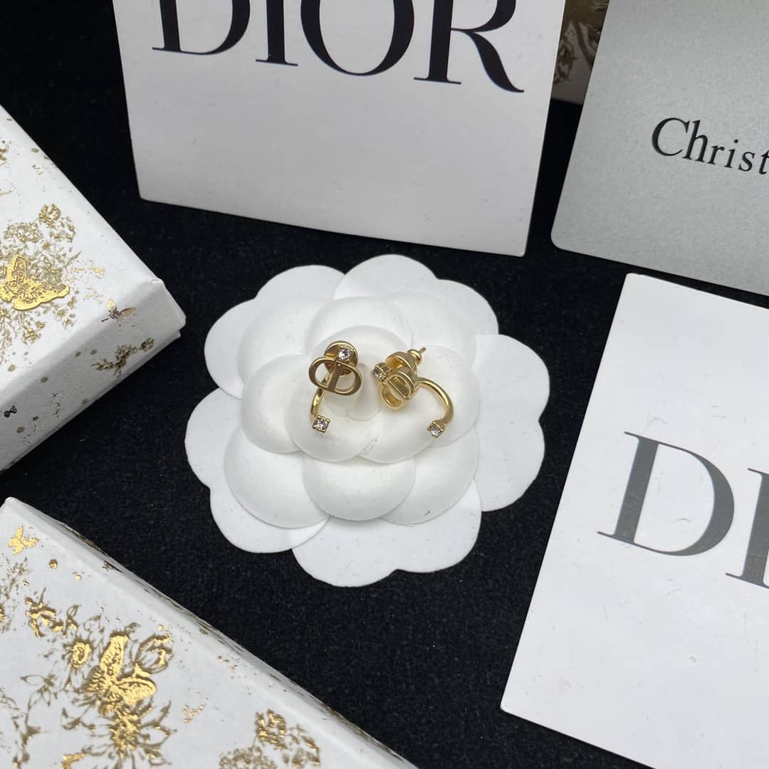 Best Replica High Quality Christian Dior Earring - Colareps