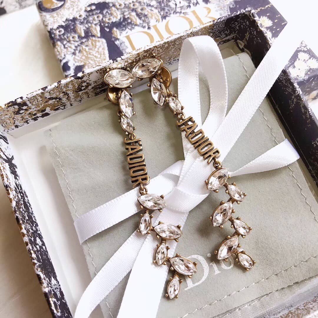 Best Replica Wholesale Christian Dior Logo Earring - Colareps