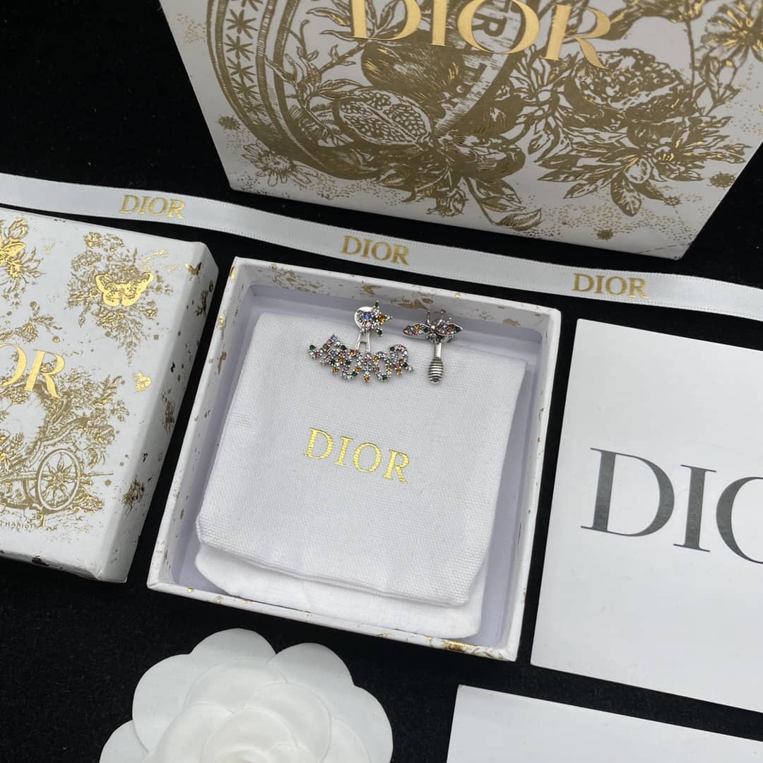 Best Replica Knockoff Christian Dior Logo Earring - Colareps
