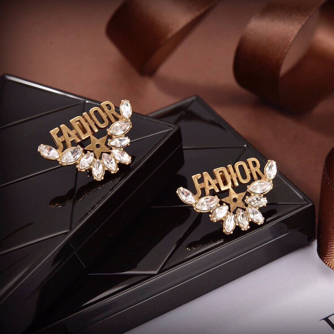Best Replica Wholesale Christian Dior Logo Earring - Colareps