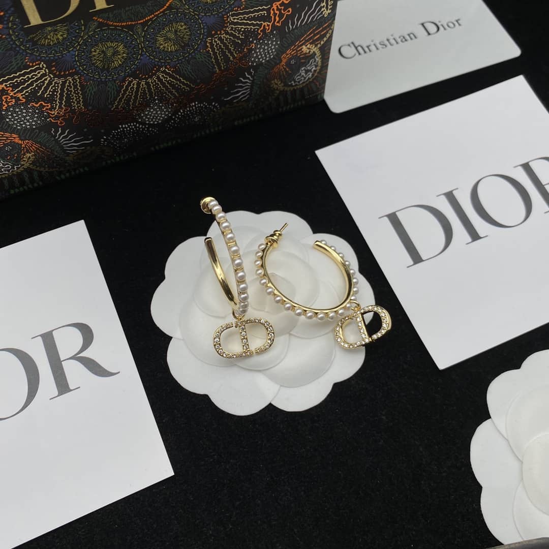 Best Replica Fake Christian Dior Logo Earring - Colareps