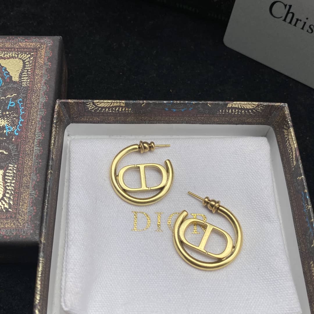 Best Replica High Quality Christian Dior Earring - Colareps