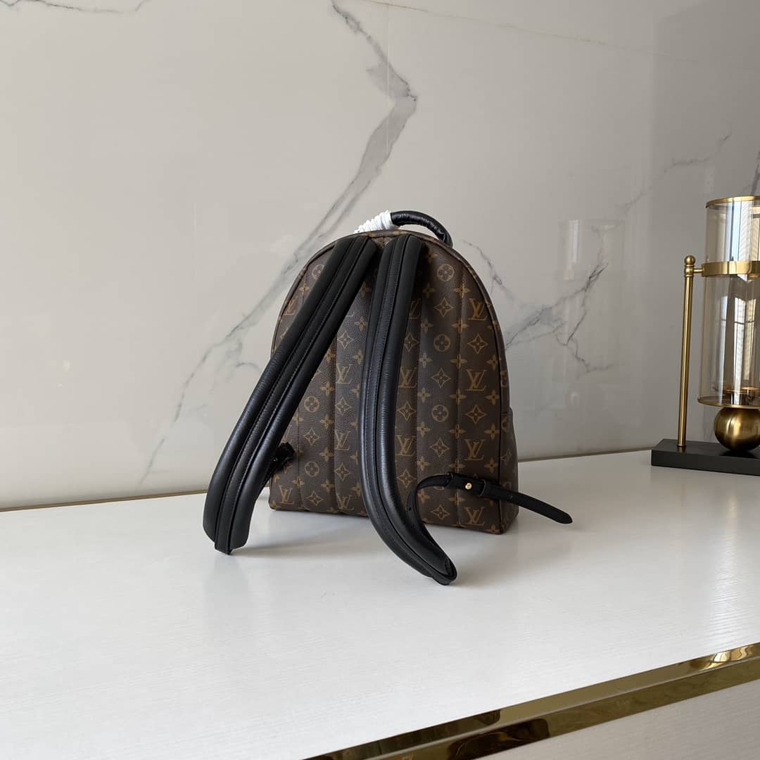 Best Replica Louis Vuitton Monogram Canvas Palm Springs Replica Backpack MM M41561 - Colareps