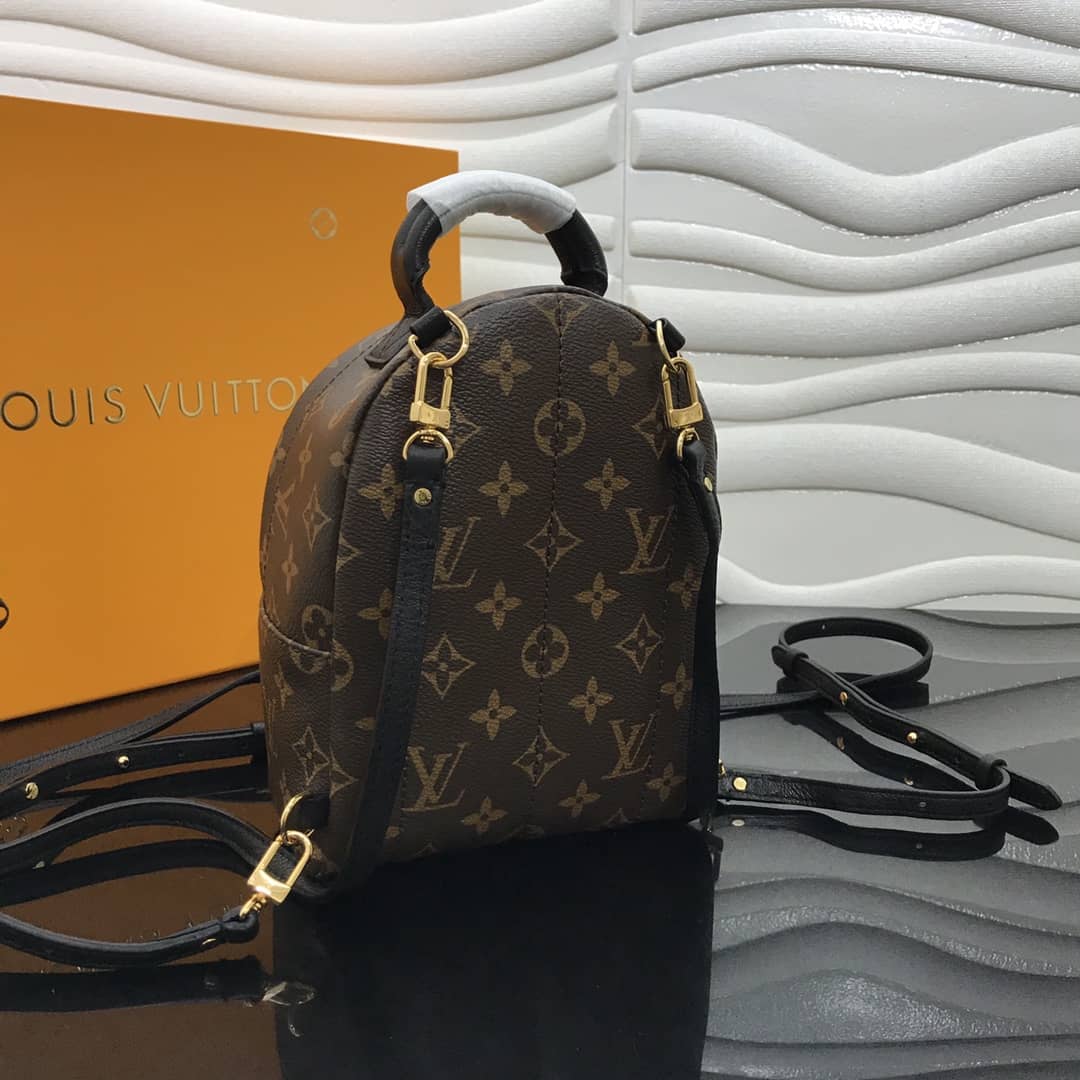 Best Replica Louis Vuitton Palm Springs Mini Replica Backpack Brown M44873 - Colareps