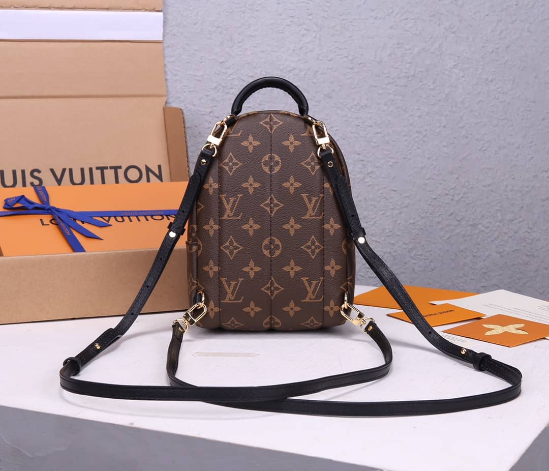 Best Replica Louis Vuitton Palm Springs Mini Replica Backpack Brown M44873 - Colareps