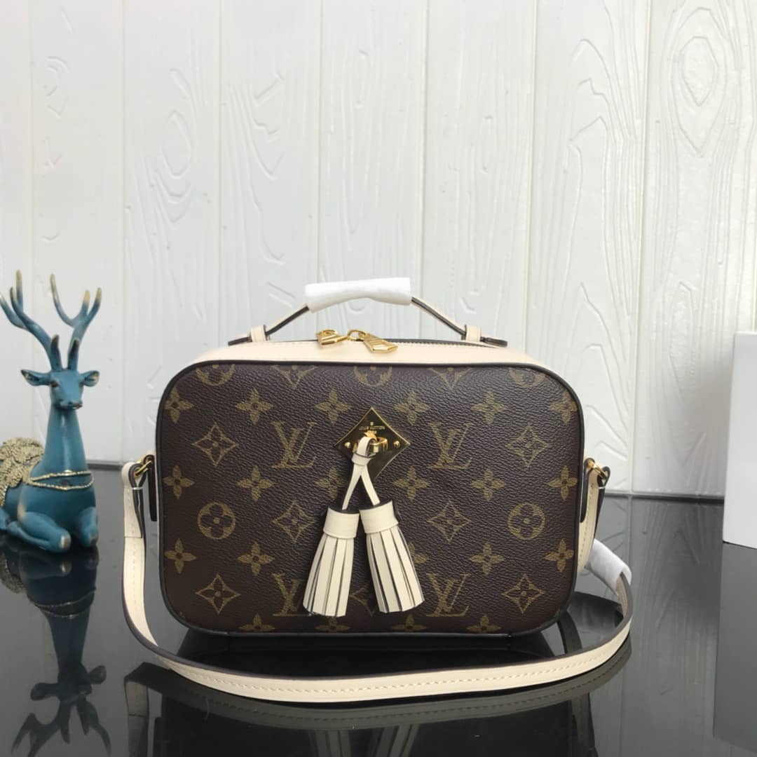 Best Replica Louis Vuitton Canvas Saintonge Replica Camera Bag White M43555 - Colareps