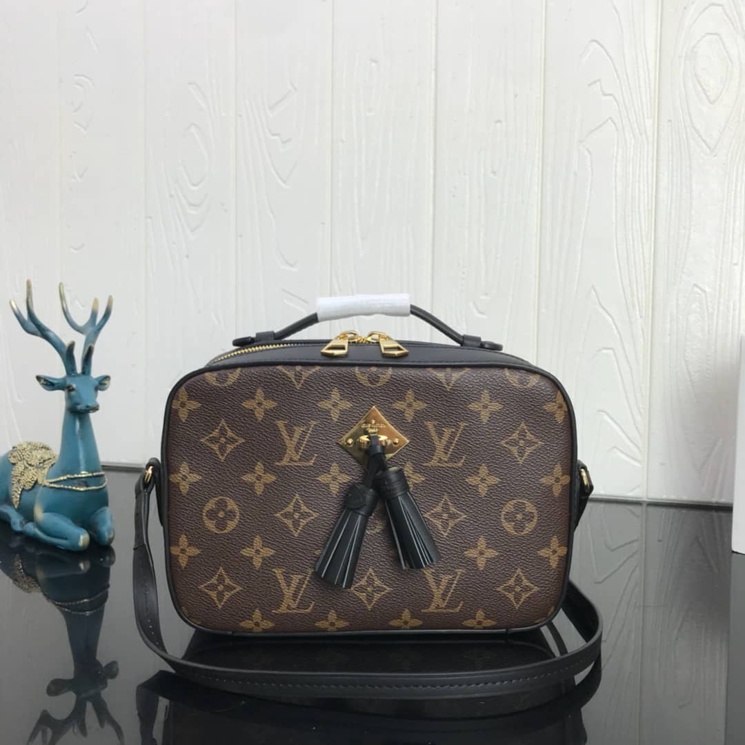 Best Replica Louis Vuitton Canvas Saintonge Replica Camera Bag Black M43555 - Colareps