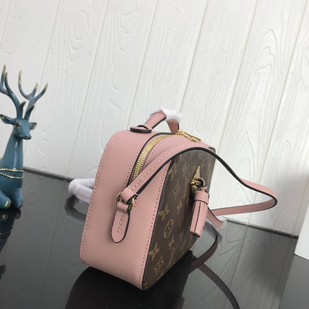 Best Replica Louis Vuitton Canvas Saintonge Replica Camera Bag Pink M43555 - Colareps