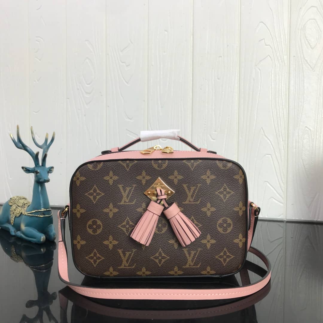 Best Replica Louis Vuitton Canvas Saintonge Replica Camera Bag Pink M43555 - Colareps